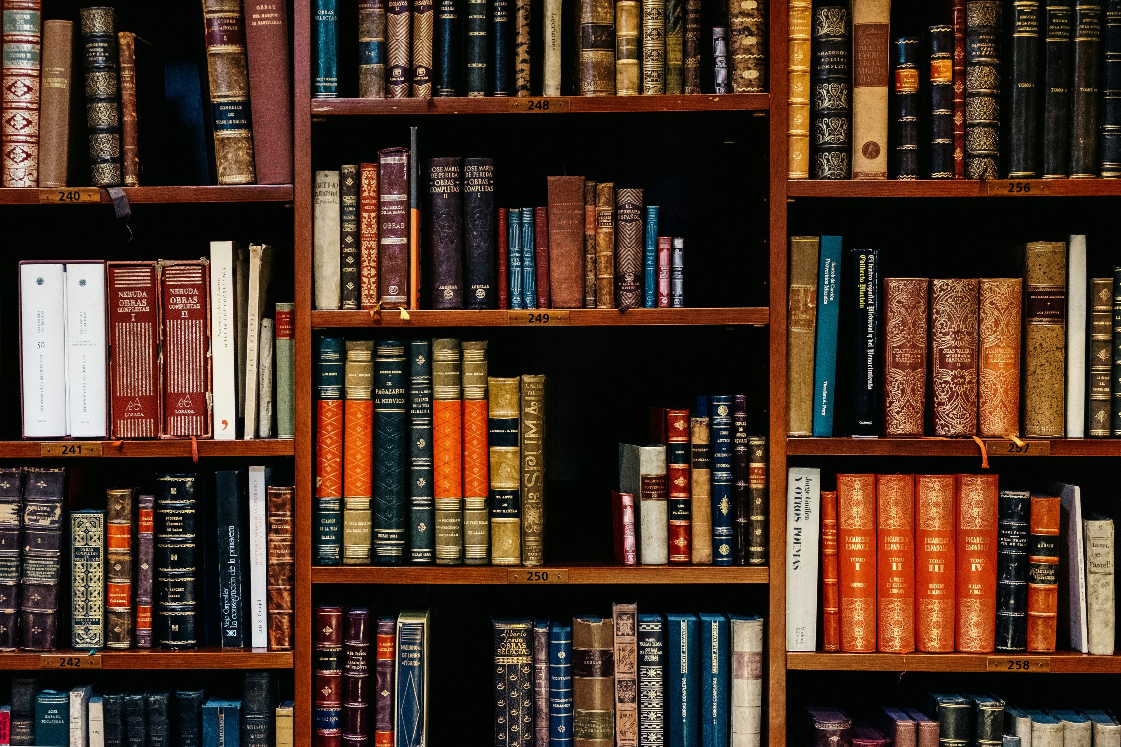A bookshelf